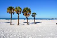 Florida beach resort image 3